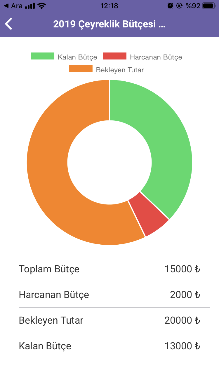 Uygulama Bütçe Ekranı